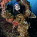 eye_anchor_ncot_lc_v_0195_cay1727.jpg